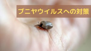 ブニヤウイルスとは