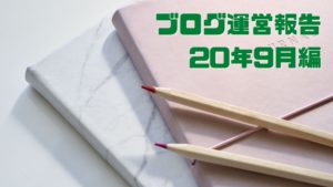 ブログ月間2万PVを達成したので記事数やアドセンス収益を公開します