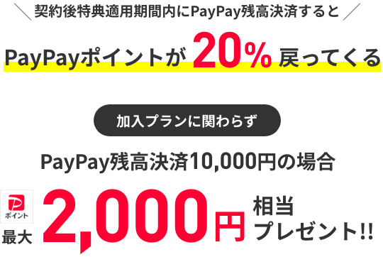 PayPay残高払いで20%還元！